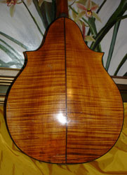 1932 Nettuno Mandolin